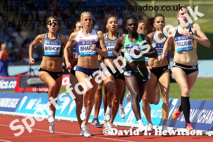 Womens 800 metres, IAAF Diamond League, Birmingham. Photo: David T. Hewitson/Sports for All Pics